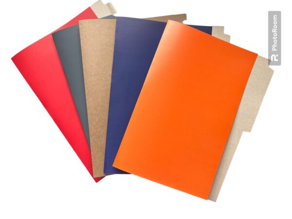 Carpeta cartón no plastificada con pestaña. No incluye accoclip